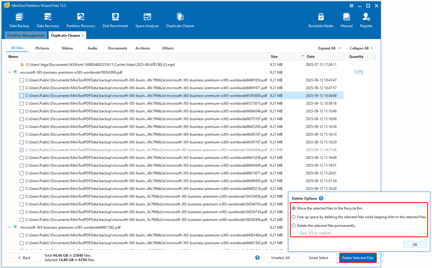 The Delete Selected Files option selected in the bottom right corner of the MiniTool Partition Wizard interface.