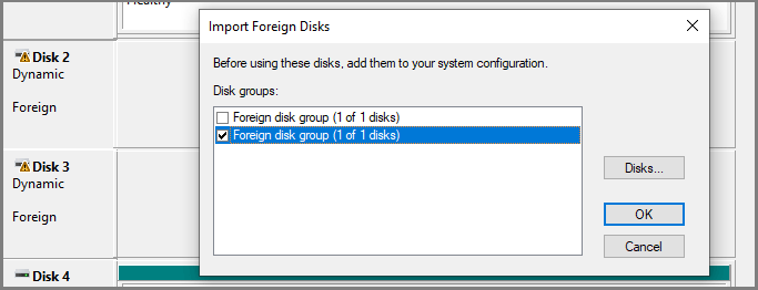 Foreign dynamic disks with the Import Foreign Disks window.
