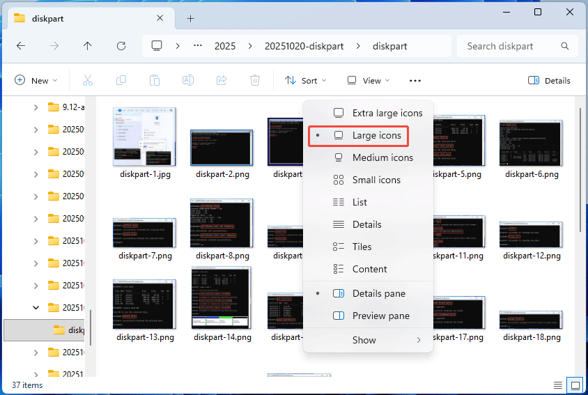 File Explorer interface with the selected large icons view option.