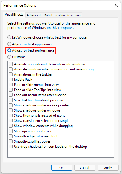 The Adjust for best performance option selected to disable visual effects in the Performance Option window.
