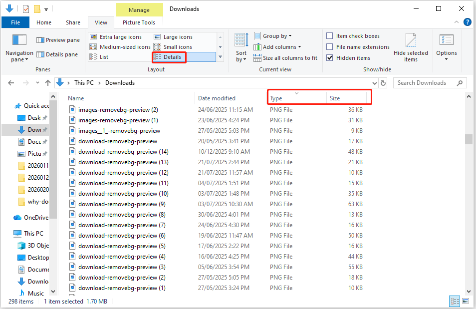 The Details, Type, and Size option selected in the File Explorer window.