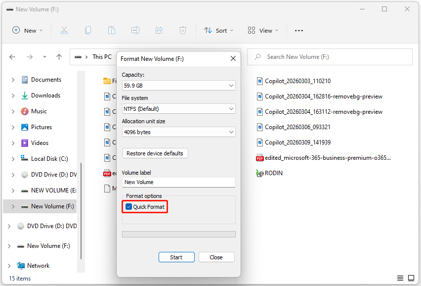 The Quick Format option selected by default in the Windows File Explorer window.