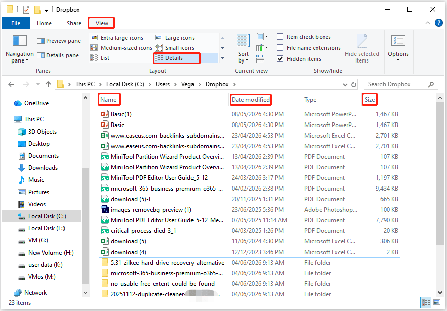 The File Explorer interface with the View, Details, Name, Date modified, and Size options selected.
