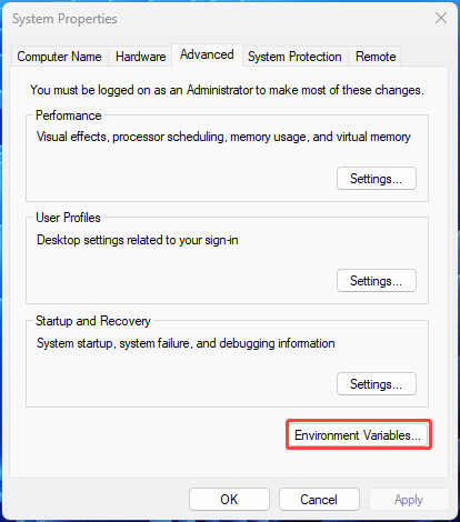 System Properties Advanced tab with the selected Environment Variables button.