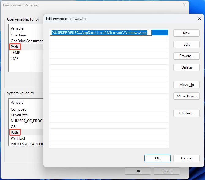 Environment Variables interface with the Edit environment variable window.