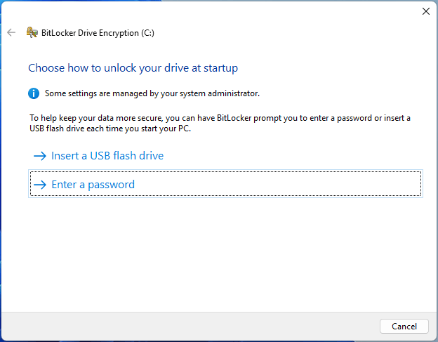 The BitLocker Drive Encryption window asking you to choose how to unlock your drive at startup.