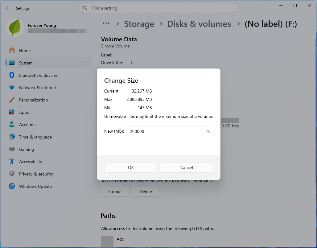 Windows 11 Storage Settings disks and volumes interface with the Change Size window.