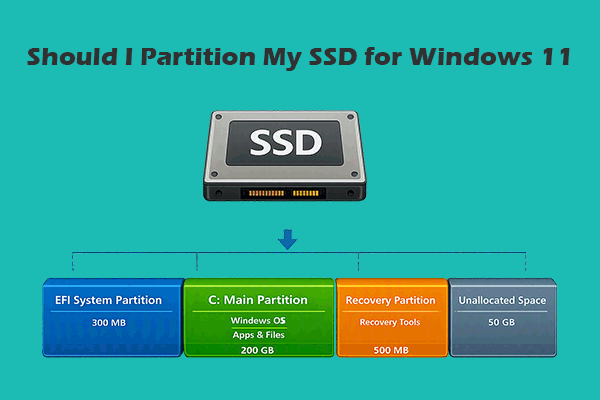 Should I Partition My SSD for Windows 11 & How to Do That