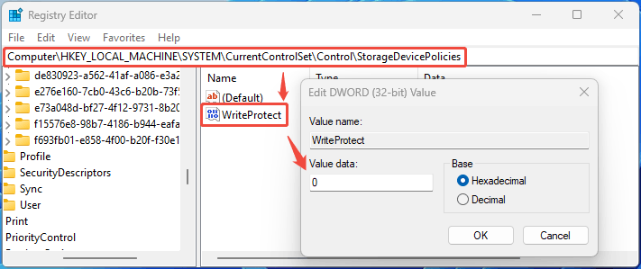 Registry Editor interface with the selected WriteProtect entry.