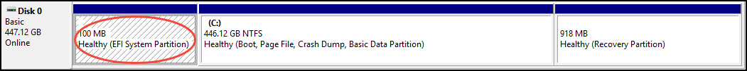 Disk Management system disk layout with the selected EFI partition.