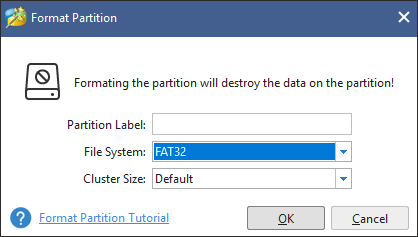 choose FAT32 as the file system for the partition