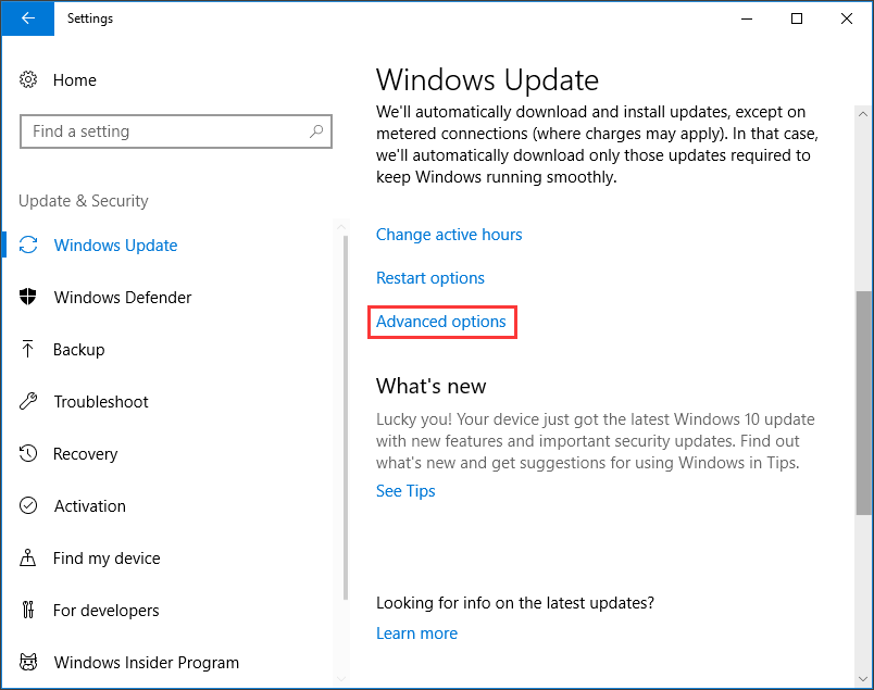 choose Advanced options under Windows Update