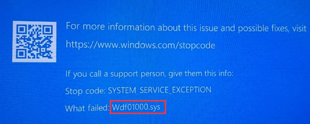 wdf01000.sys error message