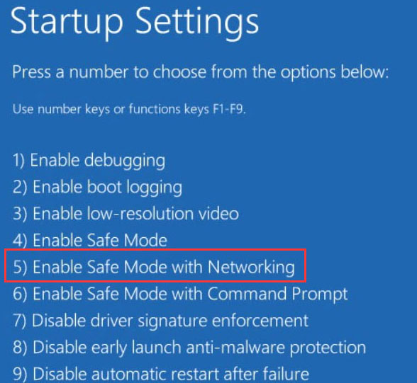enable Safe Mode with Networking