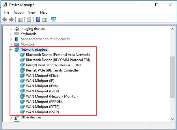 check the network adapters in Device Manager