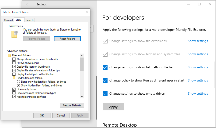 developer settings for file explorer