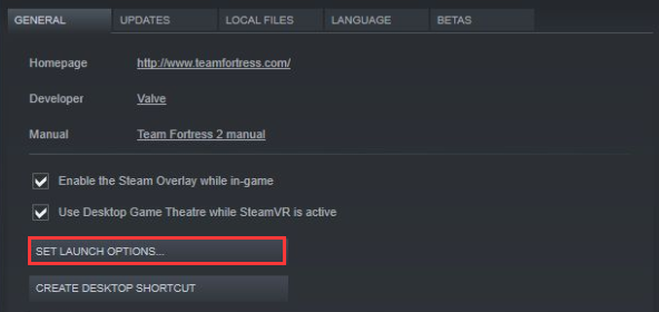 click on Set Launch Options