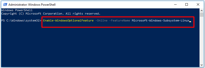 type and execute the command in PowerShell