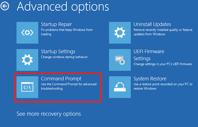 select Command Prompt in Advanced Options