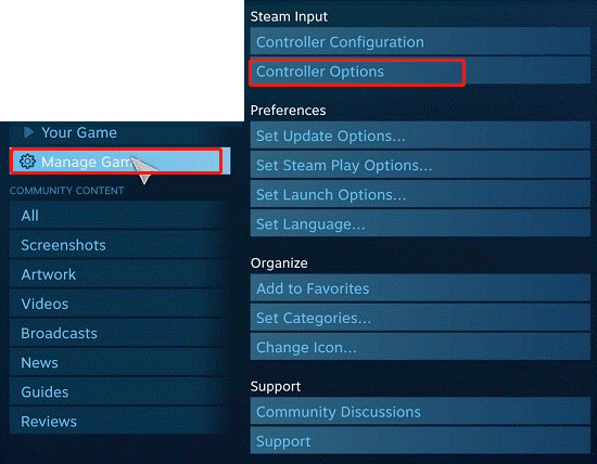 select Controller Options in Steam