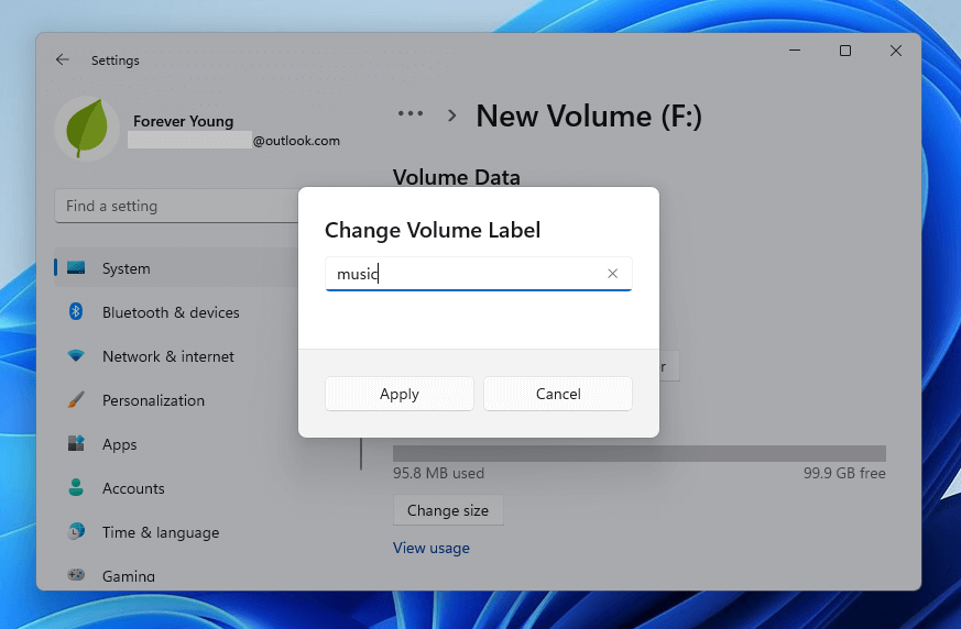 change volume label