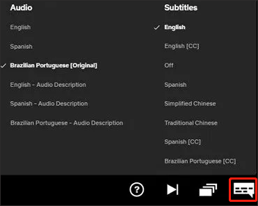choose the language for audio and subtitles