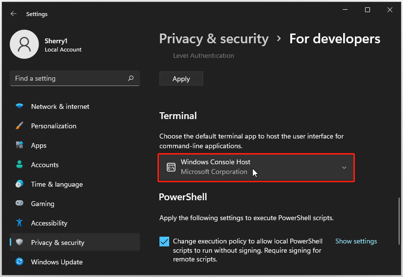 set Windows Console Host as the default terminal app