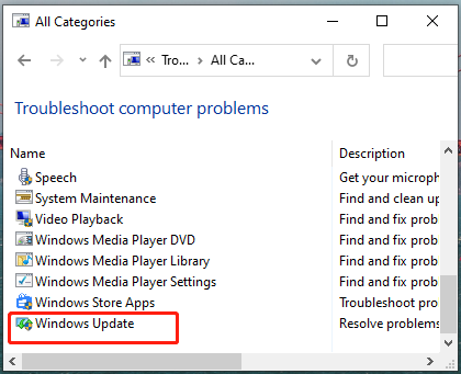 double click Windows Update