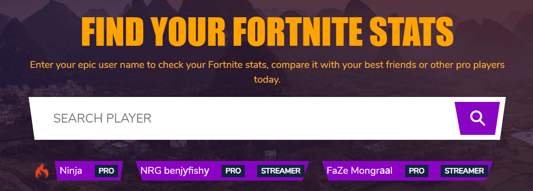 find your Fortnite stats