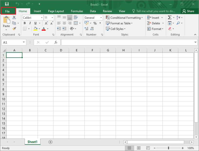 click File to open the Notepad file in Excel