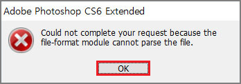 file-format module cannot parse the file error