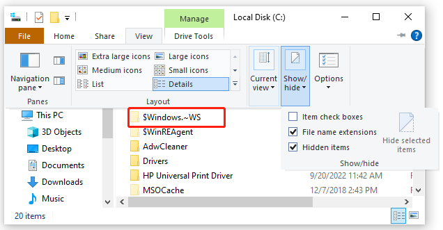 Windows WS folder