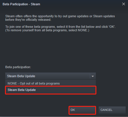 Select Steam Beta Update