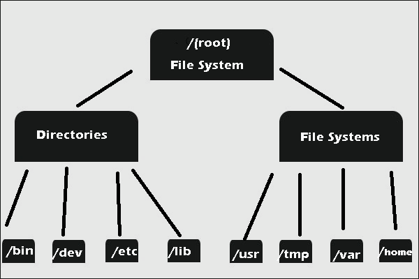 file system structure
