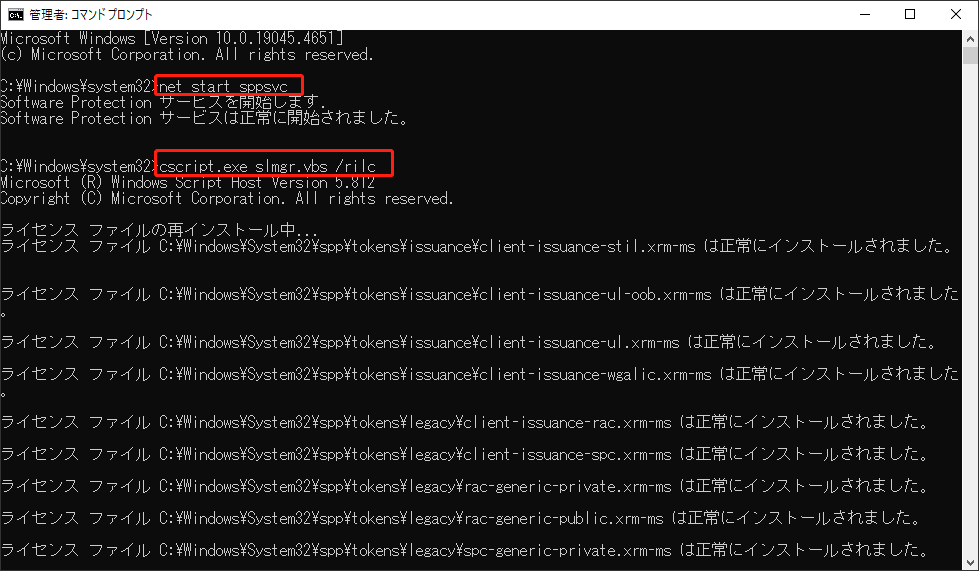 cscript.exe slmgr.vbs /rilcを実行する