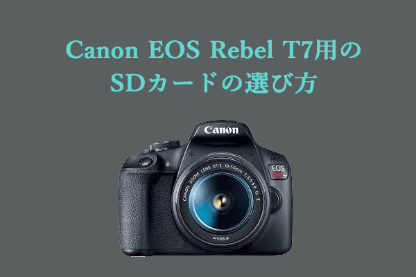 Canon EOS Rebel T7用のSDカードの選び方とおすすめ