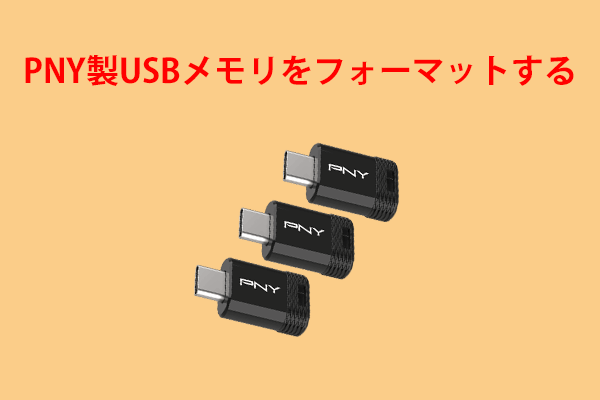 PNY USBフラッシュドライブをフォーマットする方法［完全ガイド］