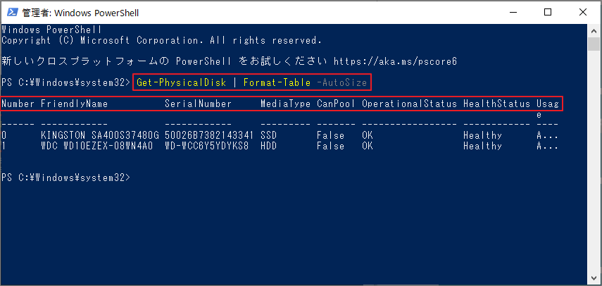 powershellでGet-PhysicalDisk | Format-Table -AutoSizeを実行