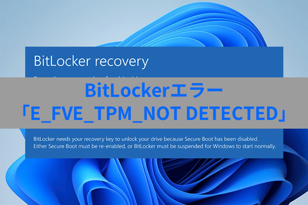 Windows 11でBitLockerエラー「E_FVE_TPM_NOT DETECTED」を修正する