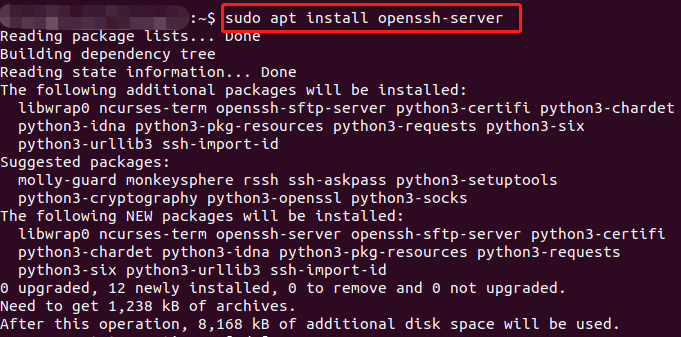 sudo apt install openssh-server