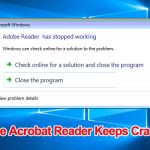 Adobe Acrobat Reader Keeps Crashing on Windows 10/11 [Full Fixes]