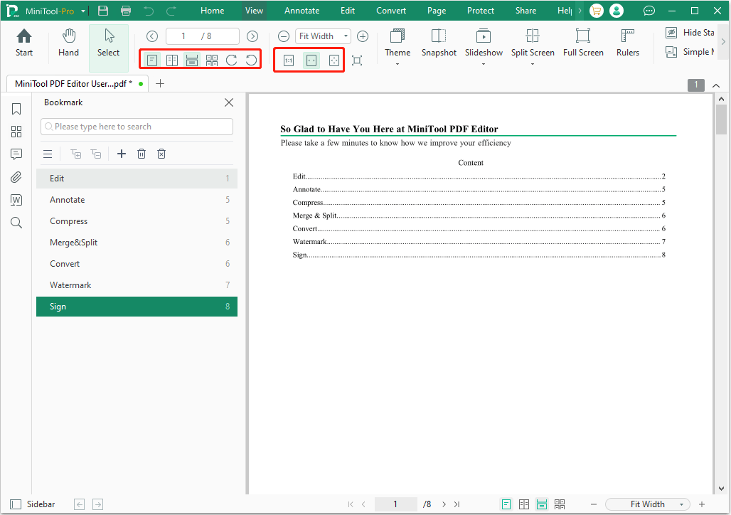 PDF view options