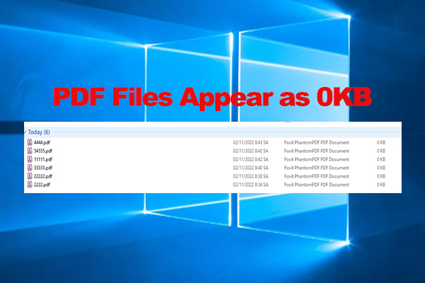 How to Open 0KB PDF Files on Windows? [4 Ways]