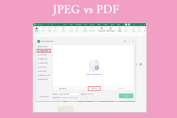 JPEG vs PDF: Which One Is Better for You [Full Guide]