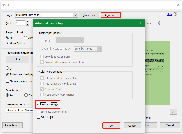 select Print As Image in Acrobat