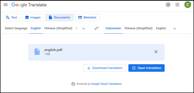 Google Translate Documents English to Indonesian