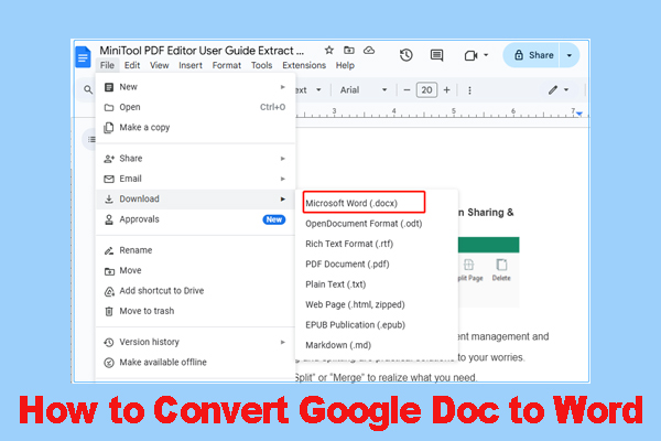 How to Convert Google Doc to Word Easily? Here’s a Full Guide