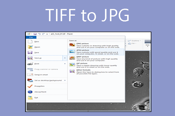 3 Types of TIFF to JPG Converters to Do Image Conversion