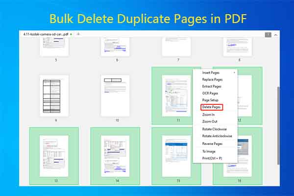 Bulk Delete Duplicate Pages in PDF with Expert Tools