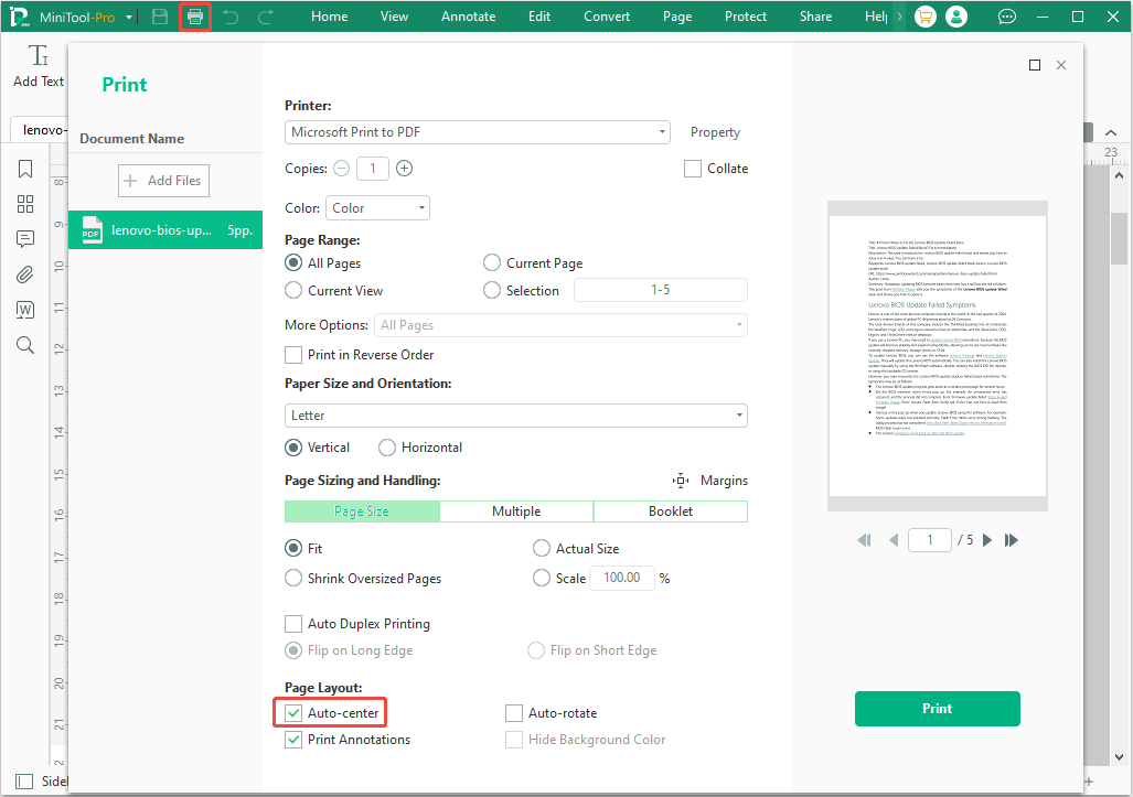 screenshot showing print settings in MiniTool PDF Editor